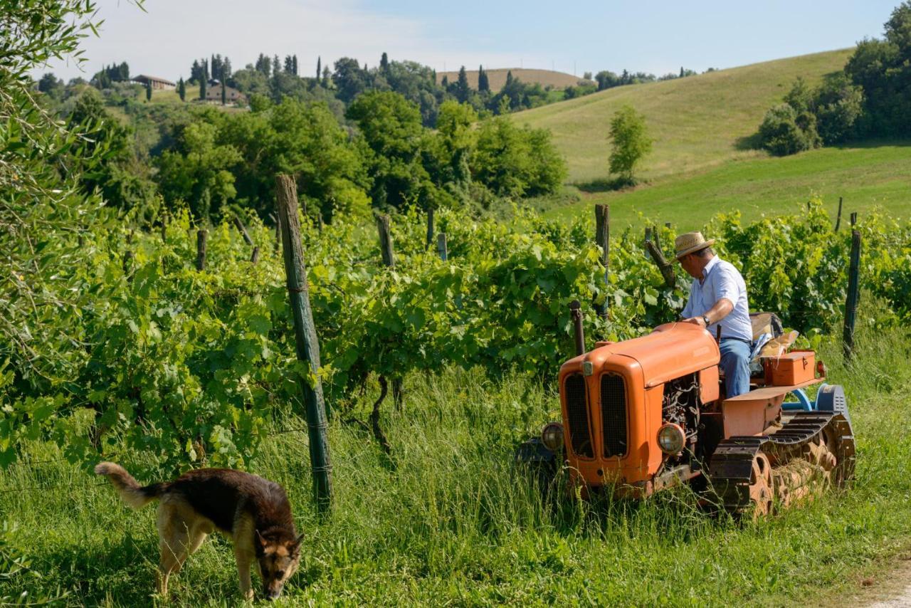 Agriturismo Pretenzano Volterra Exterior photo